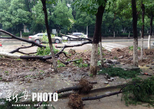安徽多地昨降暴雨局地仍有强降水 合肥降水全