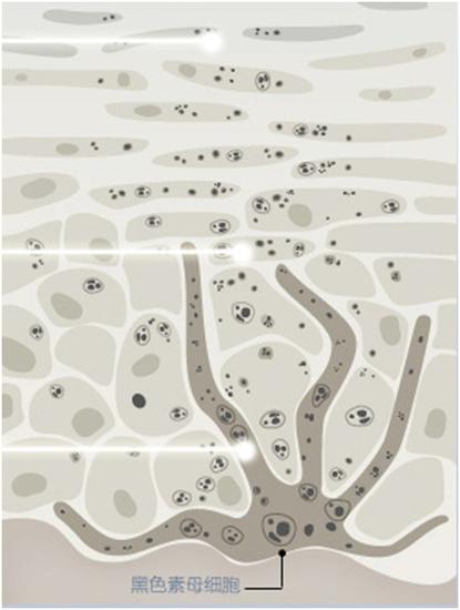 初夏 薇姿为你点亮健康润采|薇姿