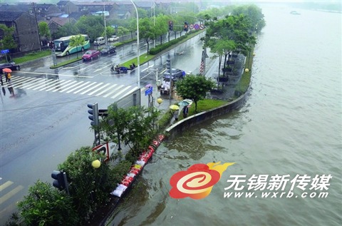 昨天中午,大运河水位与运河西路路面高度相差无几。(还月亮 摄)