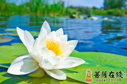 正信的佛教是什么