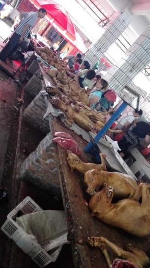 狗肉摊位
