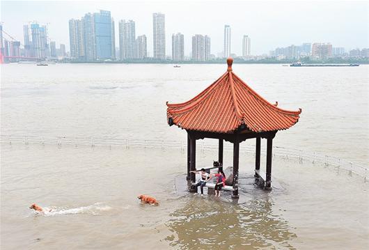 长江武汉关水位今年首达25米设防线