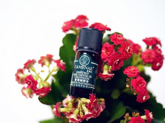 邻居的少妇精油按摩体验及正规按摩店推荐