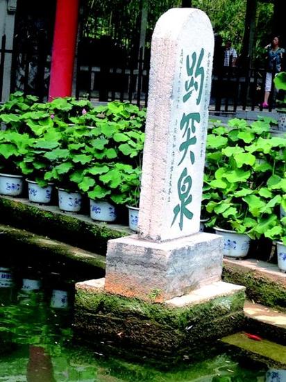 水位下降,趵突泉石碑露出青苔。