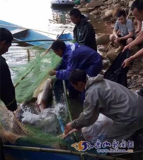峨秀湖打鱼
