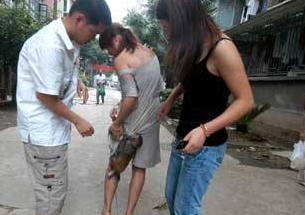 猴子抱住美女大腿乞讨