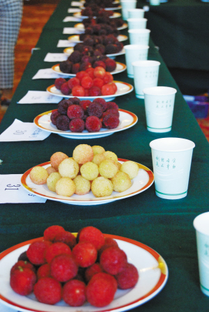 宁波杨梅十大名果评选举行 61个样品一决高下