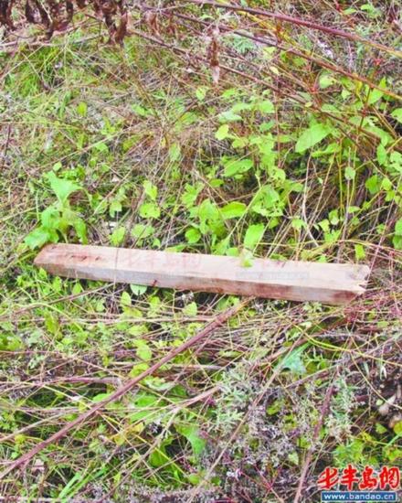 民警从案发现场附近的草丛中查获作案用的方木棍。