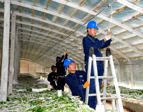 淅川县电业局:服务桑蚕养殖安全用电