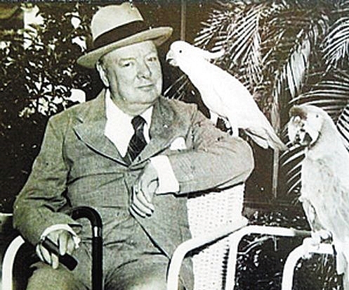 200903150423158103457464_看图王