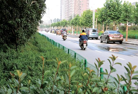 三環(huán)快速路上的生態(tài)廊道