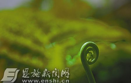 一道令人稱奇的自然景觀。