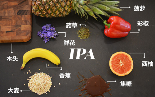 IPA香气特点是种类多,层次明显
