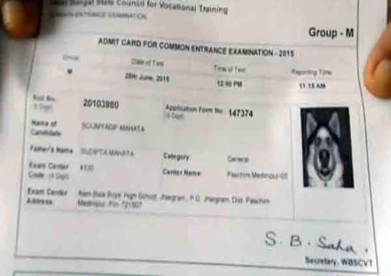 马哈托发现自己的准考证上的照片竟然是一只狗狗。
