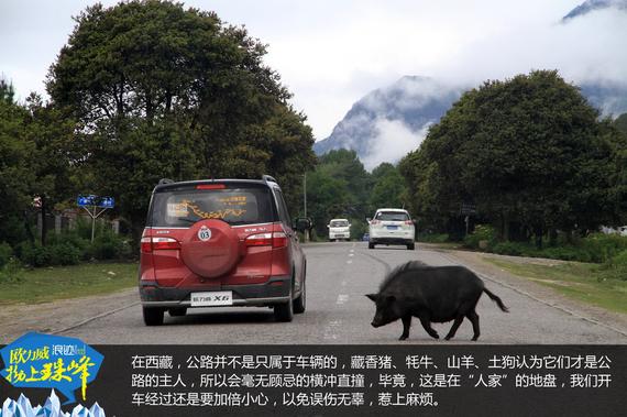 欧力威X6“拗上珠峰”——神圣之路