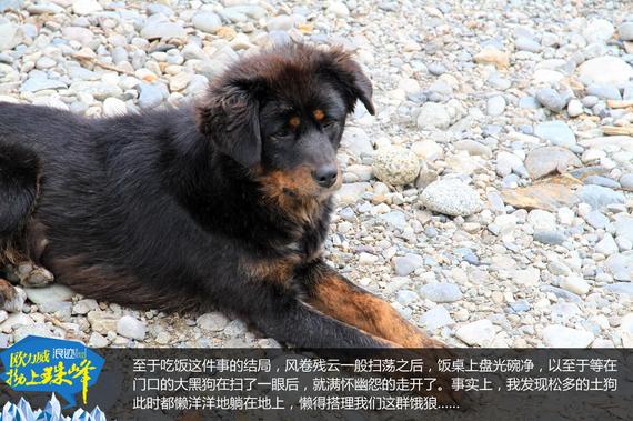 欧力威X6“拗上珠峰”——神圣之路