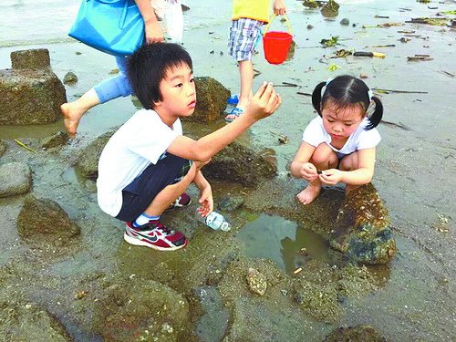 子由（左）在海边抓活物观察。