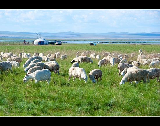 无际大草原 中俄蒙边陲小城满洲里自驾游 _成