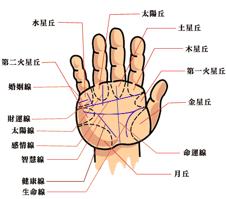 基本手相