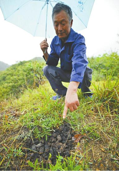 "裁缝峪地处山区内部,位置比较偏僻,周边环境比较屎狼生存