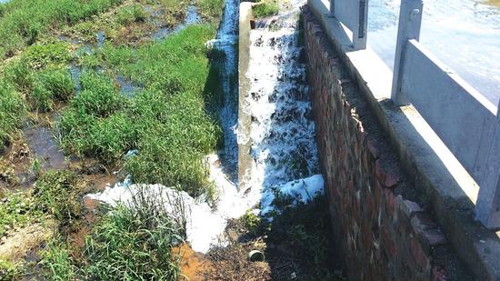 须水河畔,污水直排进河道