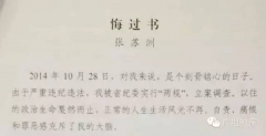 张苏洲的悔过书