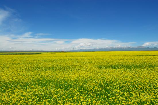 人少又好玩 传统骑行胜地青海湖自驾游_成都汽
