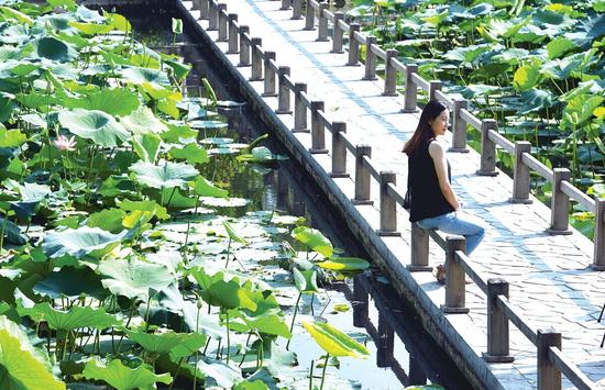 郑州紫荆山公园现植物双胞胎 生成概率仅十万