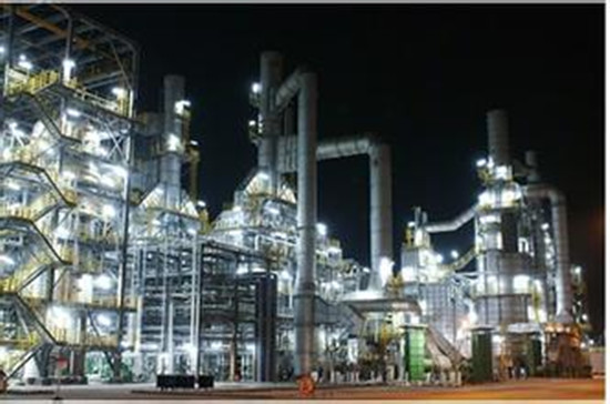 丽东化工厂区（图片来自网络）