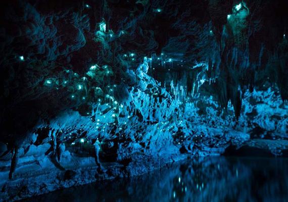 新西兰岩洞内萤火虫飞舞，犹如夜空繁星。