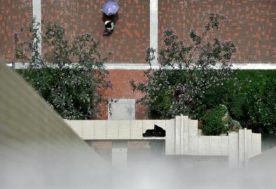 5日上午,成都府青路一小区内,一名女童从18楼坠至4楼平台后死亡。平台被砸出一个大洞。