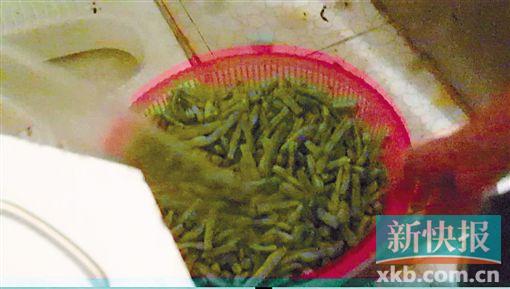 盛着四季豆的菜篮被直接放在蹲坑旁。