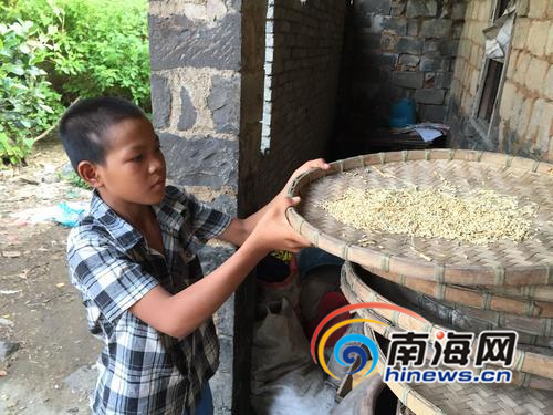我不是没有选择,我可以选择死,但有妈妈和哥哥在,我不能……” 12岁的谢国器被逼着坚强地扛起了一个家。南国都市报记者王洪旭摄