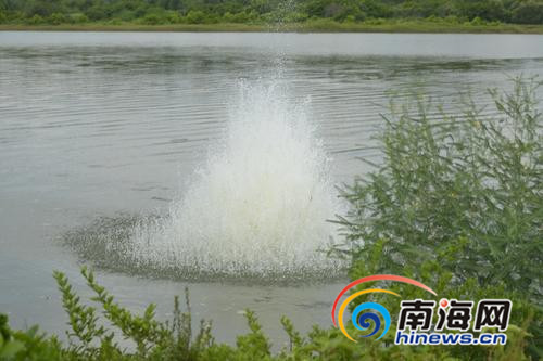 土炸弹丢进水里炸起2米多高的水花