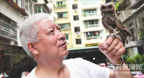 郑玉德陪同猫头鹰玩耍