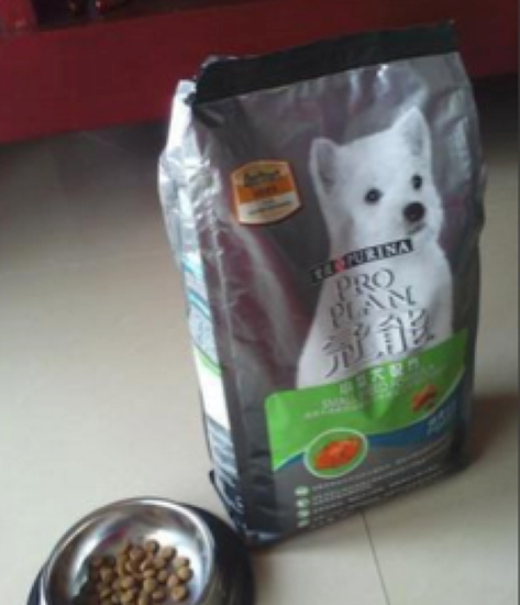 冠能:泰迪挑嘴不吃狗粮的问题解决了