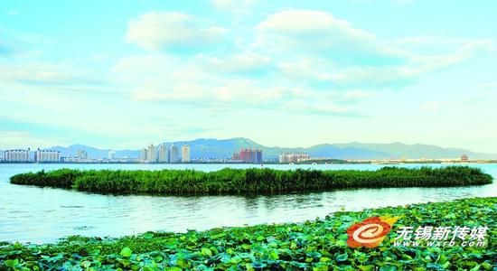 在“最干净城市”的榜单上,无锡排名第八,内地排名第五。