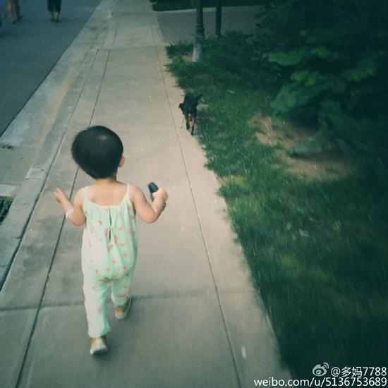 黄磊家小女儿跟着乖乖走路