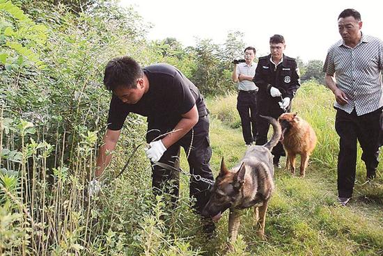 图为：警犬参与搜捕