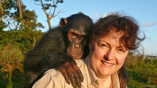 摄影师Sue Flood背着一只黑猩猩