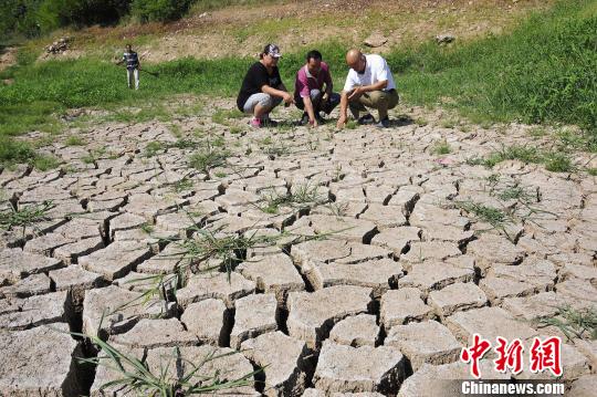 图为烟台市福山区农民在查看旱情。孙文潭 摄