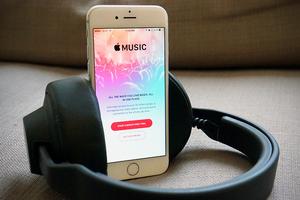 ƻ�����ַ������鷳�����ⷴ¢�ϵ���