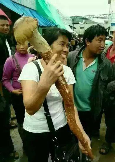 1米长的鸡枞菌
