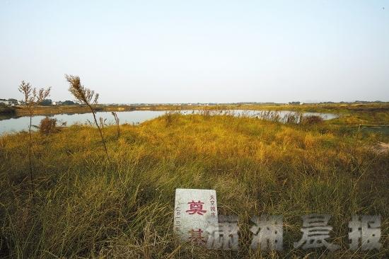 2014年10月18日，望城区大泽湖街道回龙村，“远大天空城市”奠基石倒在杂草中。直至2015年7月，这里的工地还是没有动工，其前景是个谜团。