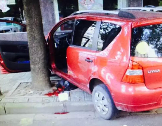 金华女司机倒车时把自己夹住 夹在树和车中间