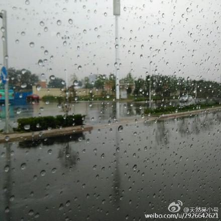 石家庄雷雨突袭来去匆匆 网友欢呼齐喊太爽了