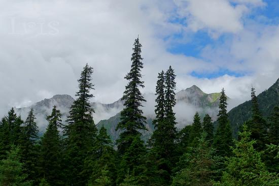 比熊猫还珍贵的白马氐族 九寨沟自驾游_成都汽