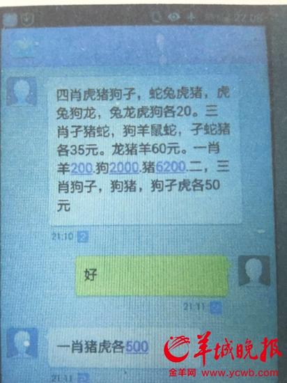 下注信息