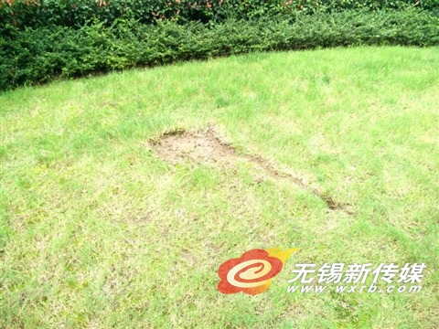 图为草地上的惊叹号。