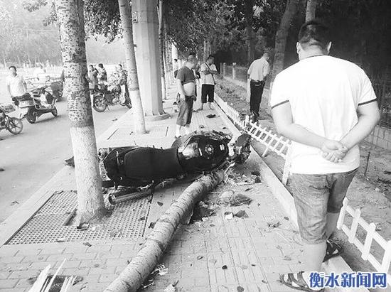 衡水市区交通事故:摩托车撞上行人撞断路边树。